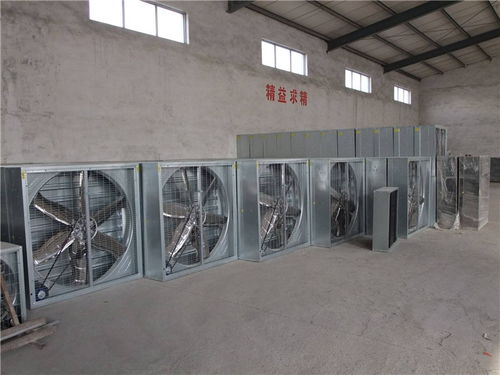 专业降温解决方案 塑料厂负压降温风机与伟达冷风机的应用与咨询